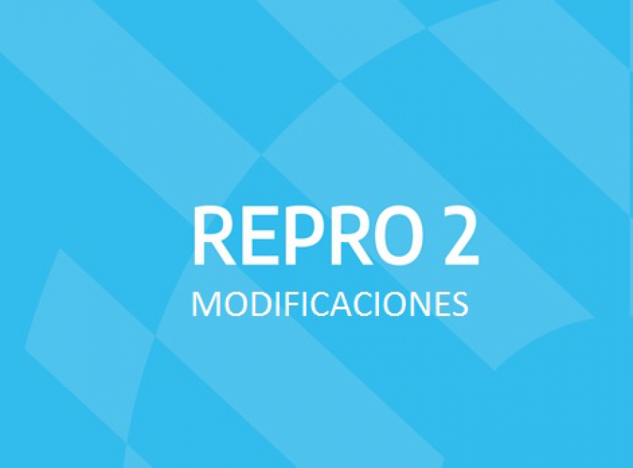 Programa REPRO II: Modificaciones